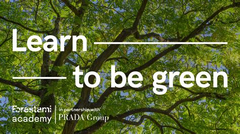 prada group governance